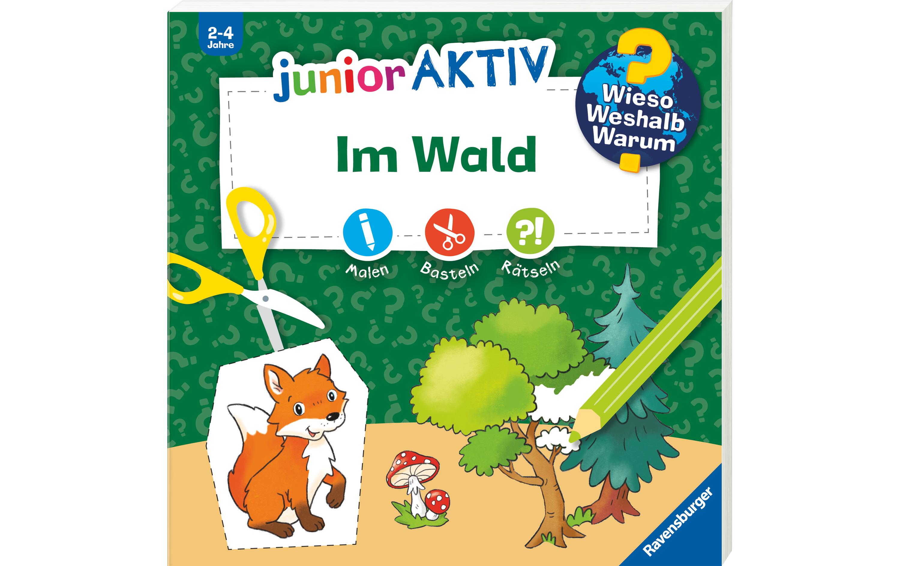 Kinder-Sachbuch WWW junior AKTIV: Im WaldErstes Ausmalen, Basteln und Rätseln