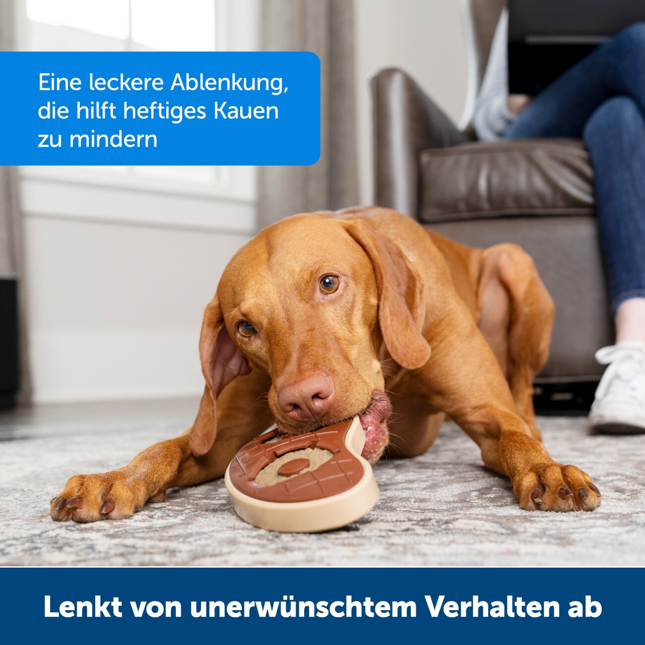 PetSafe Snackring-Spielzeuge Kauringe aus Rohhaut für Hunde - 16 STÜCK braun S
