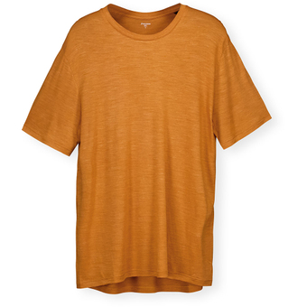 Houdini Activist T-Shirt Golden Brown Herren