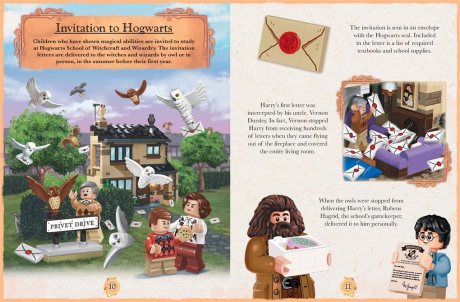 LEGO Harry Potter: Magical Year at Hogwarts (with 70 LEGO bricks, 3 minifigures, fold-out play scene and fun fact book) (Hardback)