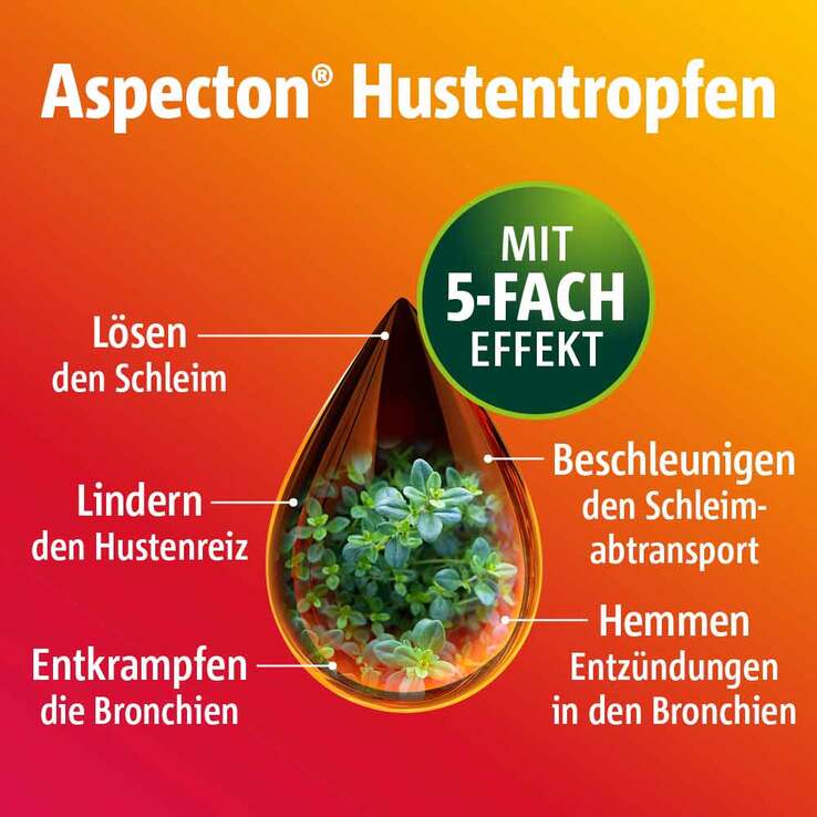 Aspecton® Hustentropfen, 100 ml