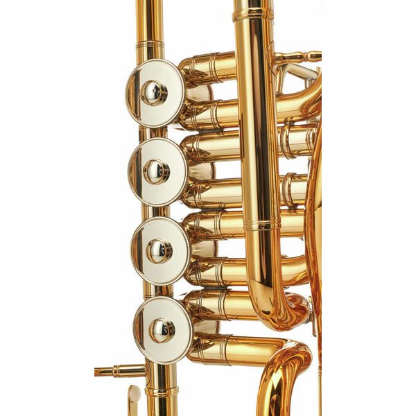 Kühnl & Hoyer T13/14 Tenor Horn Royal G