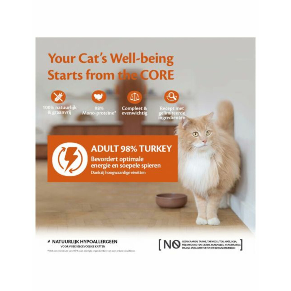 12x Wellness Core Kattenvoer 98% Recipe Kalkoen85 gr
