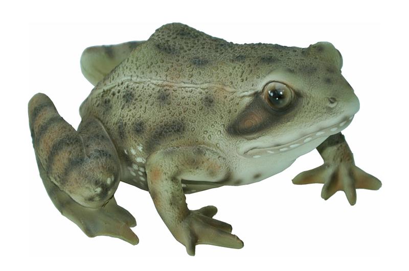 Dazikemo Gartenfigur Teichfigur Dekofigur Frosch