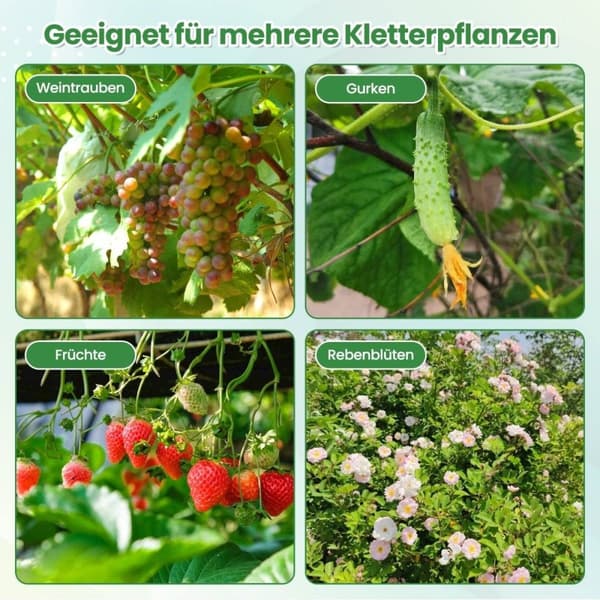 230 cm høy hagebue for klatreplanter med PE-belagt metallstruktur espalier