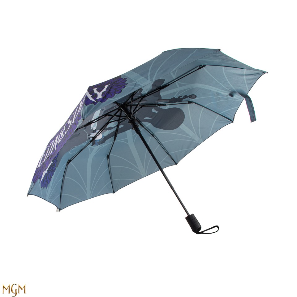 Wednesday - Umbrella - Wednesday with cello