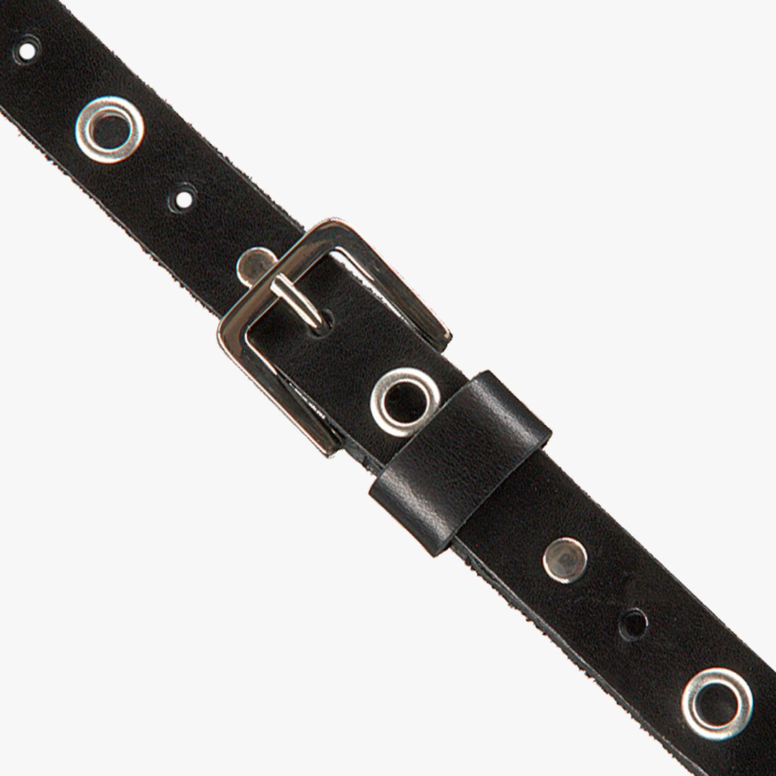LEGEND zwarte legend riem 20209