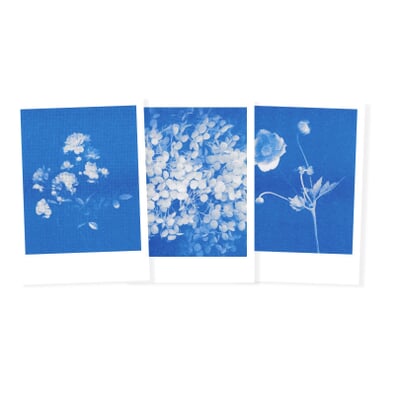 Postkarten-Set Riso, Blumen
