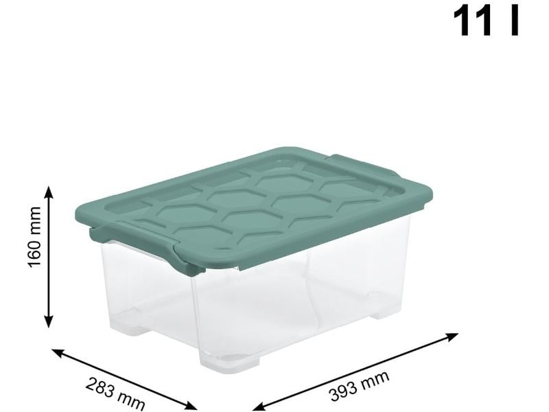 Rotho Aufbewahrungsbox Evo Safe 11 l, Grün/Transparent Box mit Deckel