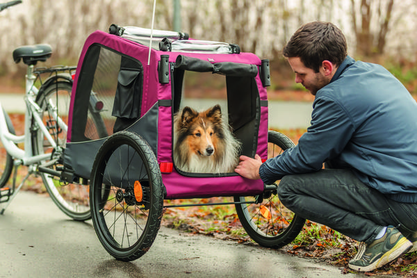 Trixie Fahrradanhänger für den Hund,