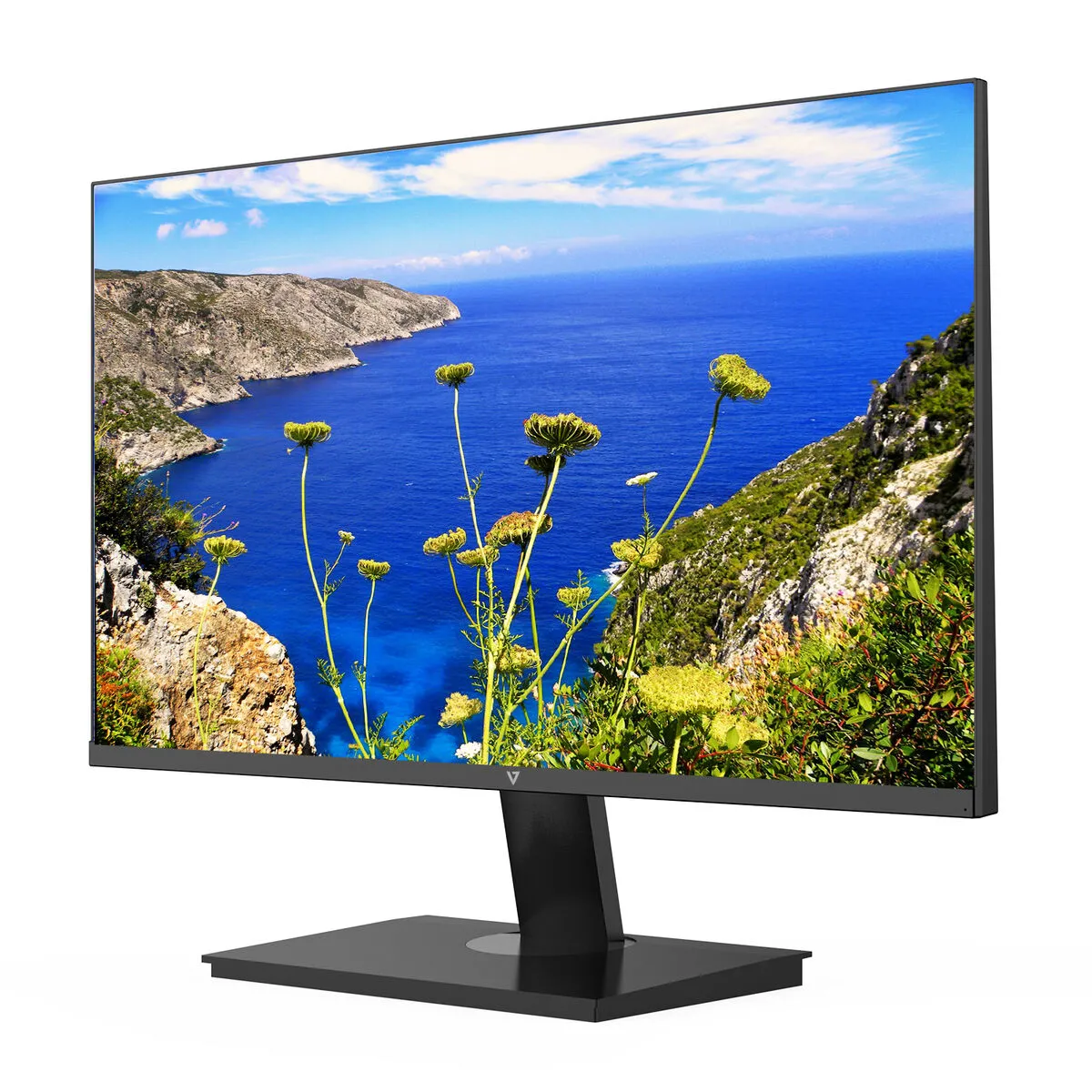V7 Écran Full HD 23,8