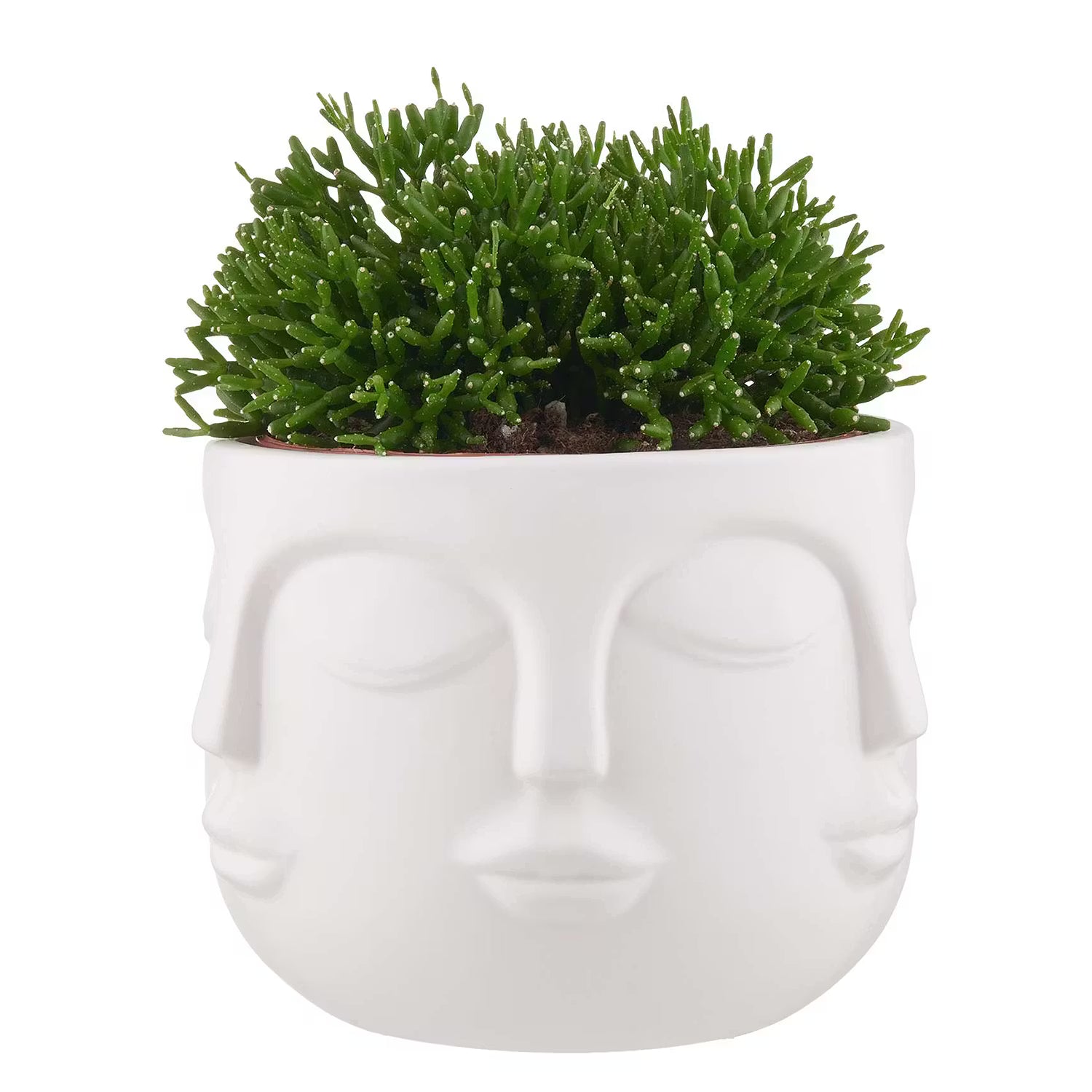ARTIST Blumentopf 4er-Set