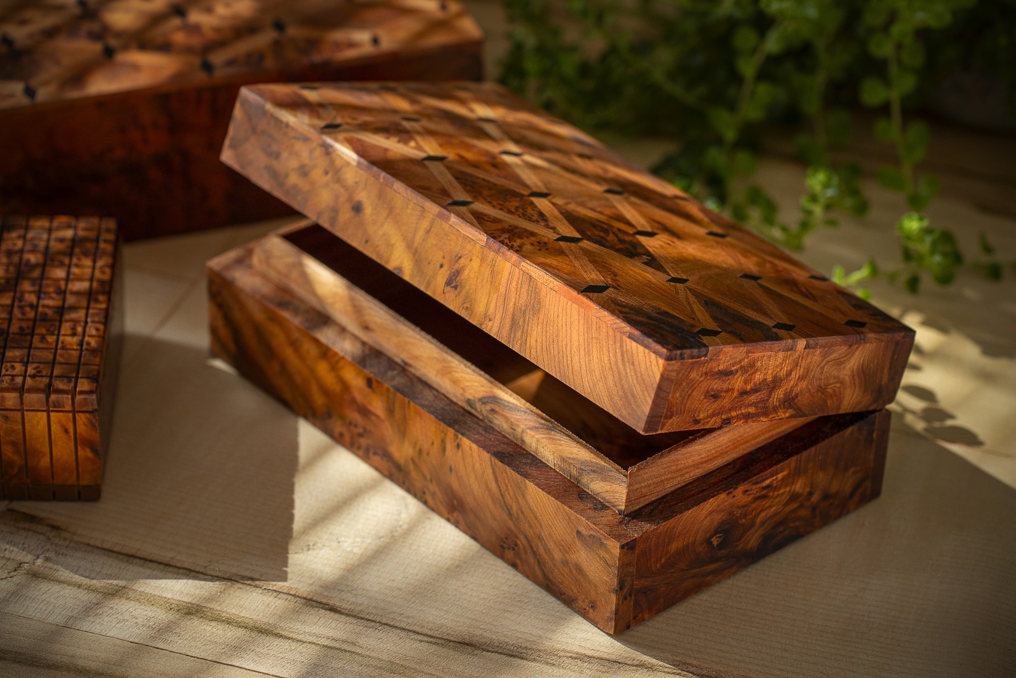 Thuja Box mit Intarsien, B 20 cm, T 12 cm, H 6 cm von fischer's lagerhaus