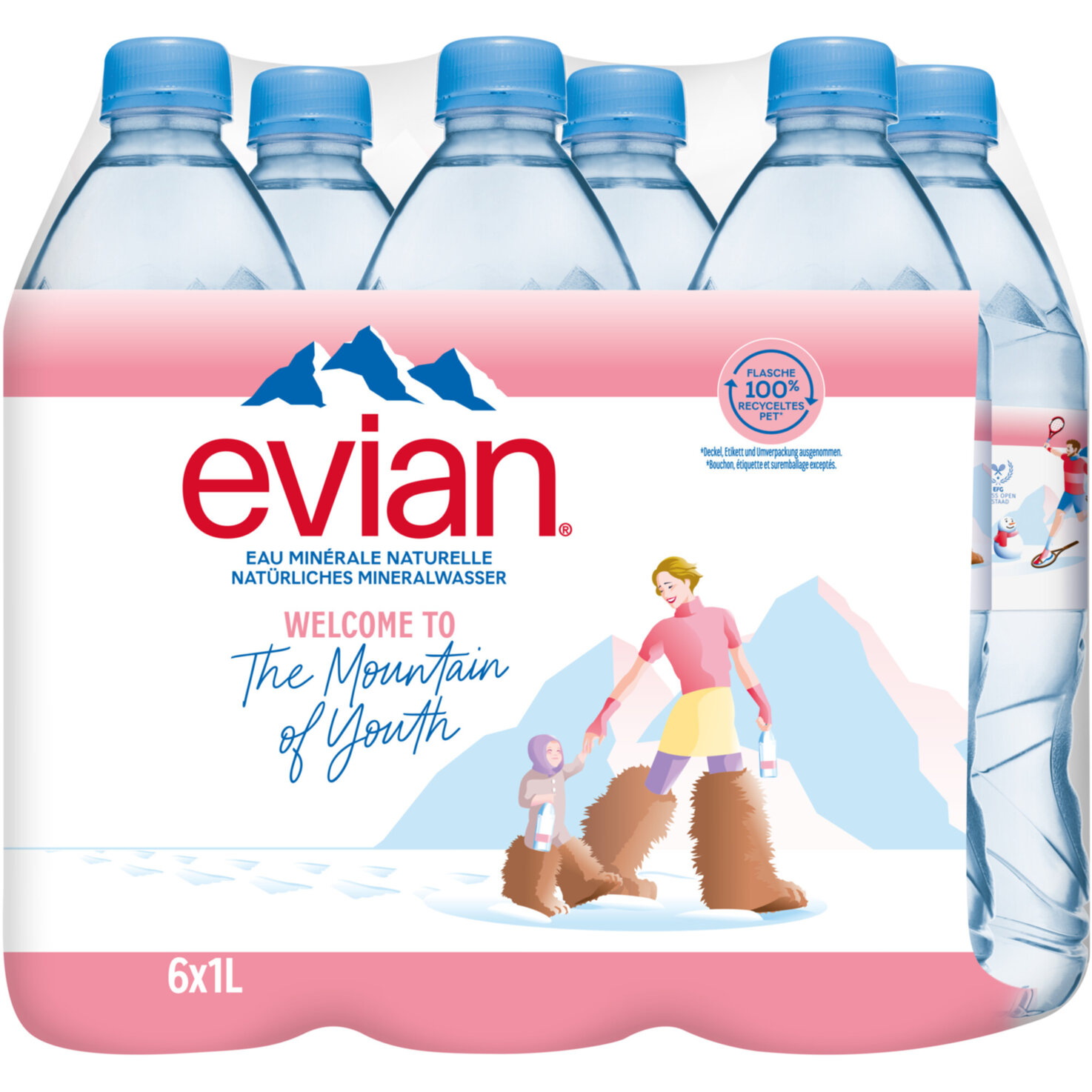 evian Mineralwasser ohne Kohlensäure 6x1l