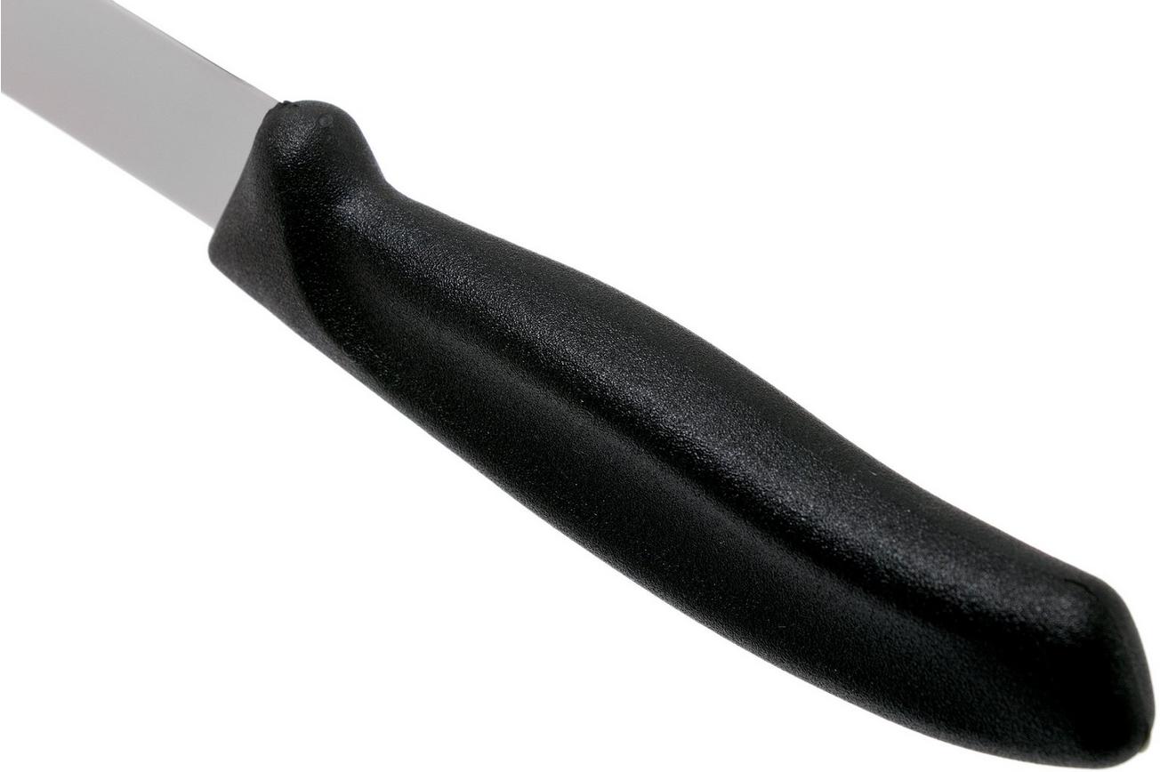 Victorinox SwissClassic 6.8713.20G fileermes 20 cm, zwart