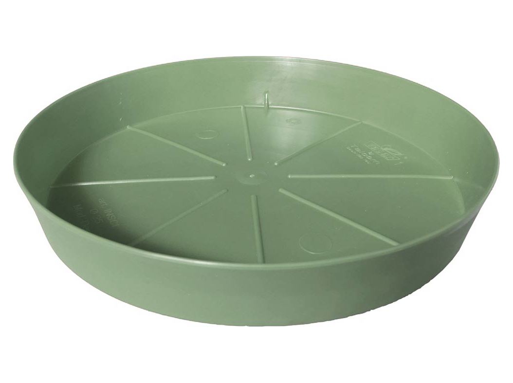 PRATO DE PLÁSTICO GARDENSTAR VERDE Ø17CM