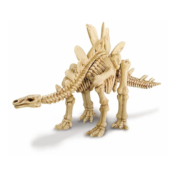 4M Kit déterre ton dinosaure Stégosaure