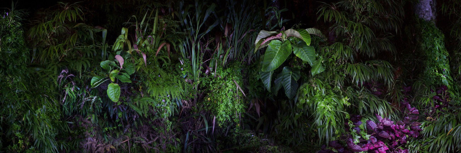 Eden III. by Katalin Vasali - Limited Edition. Edition of: 150. Signed.