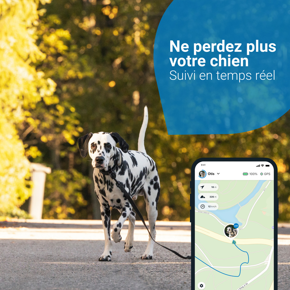 Tractive GPS DOG 4 - collier GPS pour chien avec suivi d'activité - Café
