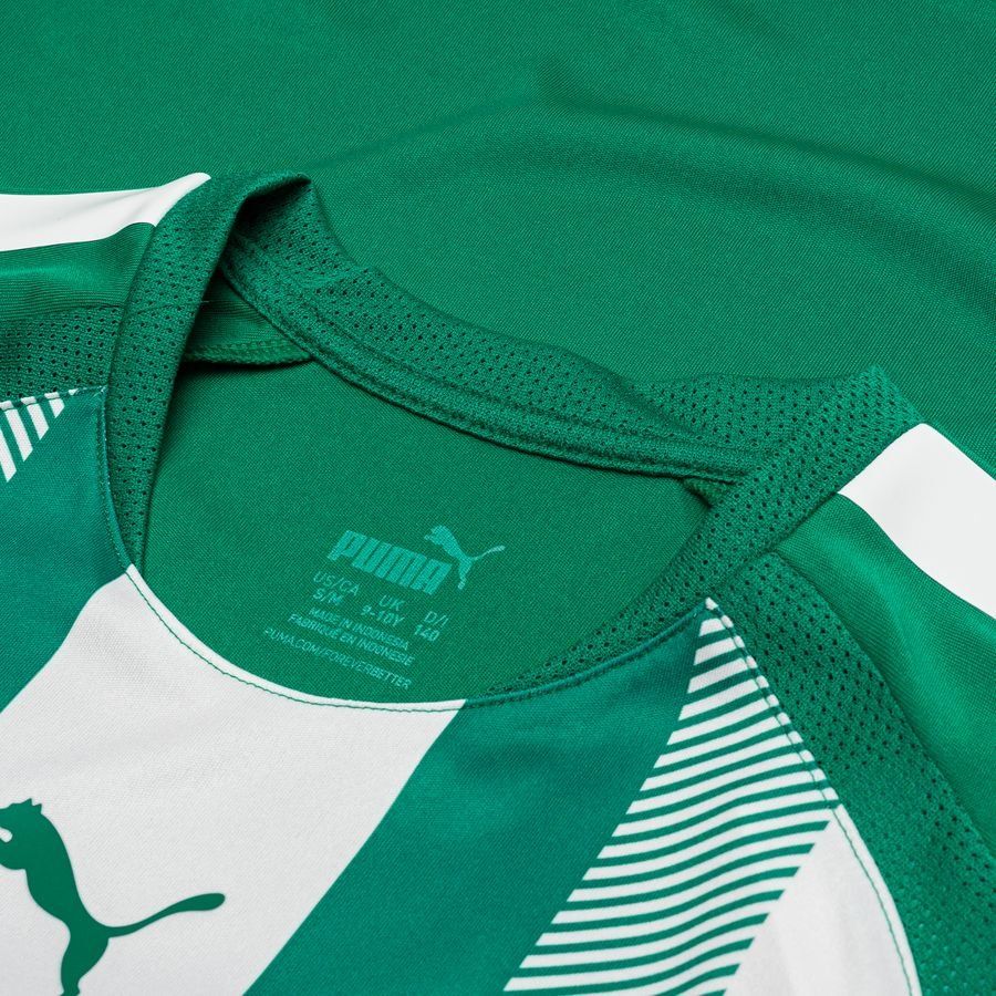 PUMA Maillot teamLIGA - Vert/Blanc Enfant