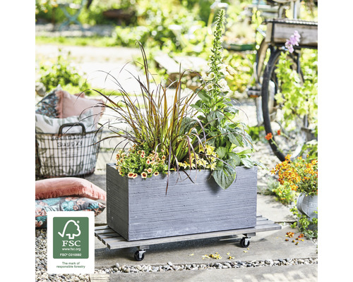 Wagner plantenwagen 79 x 29 x 8,5 cm, hout, grijs