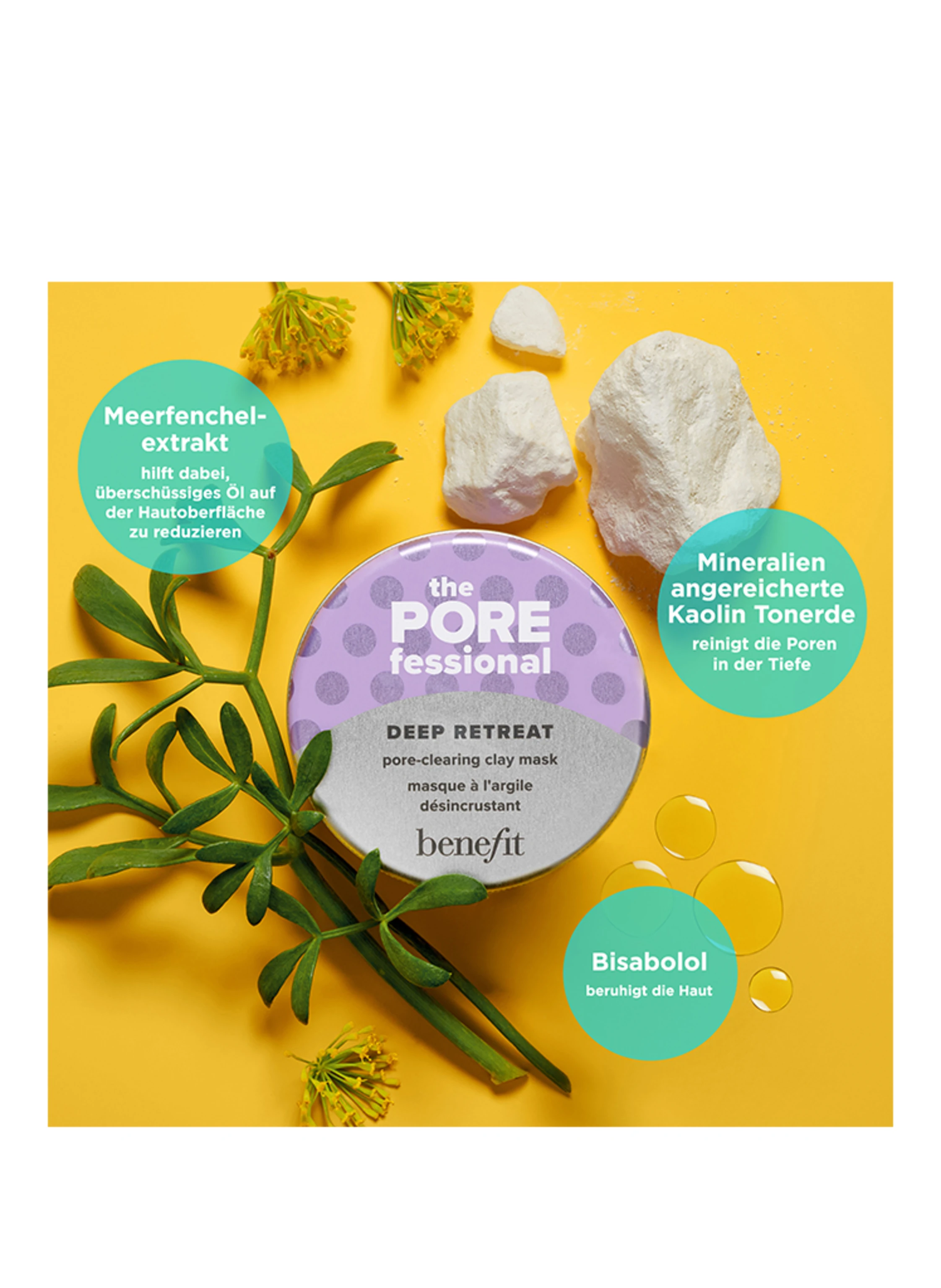 benefit THE POREFESSIONAL DEEP RETREAT