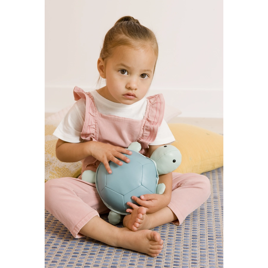 Little Big Friends Die Musiktiere - Emilie die Schildkröte