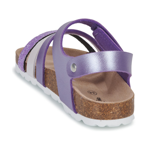 Citrouille et Compagnie - ZELLIE - Violet