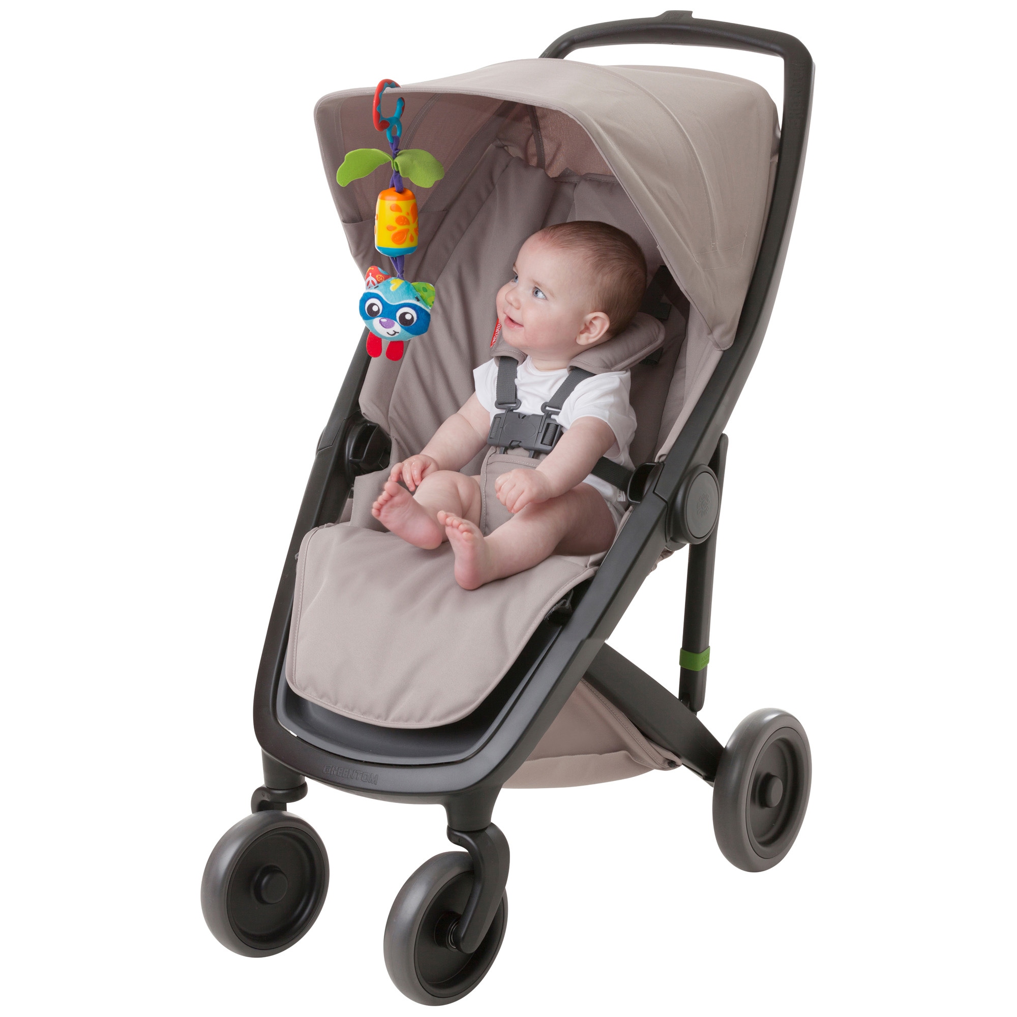 Playgro Cheeky Chime Rocky Racoon Multi
