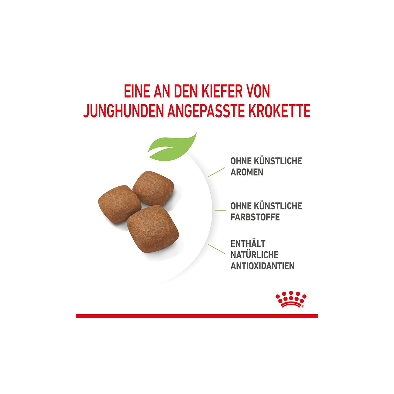 ROYAL CANIN Giant Junior 15 kg