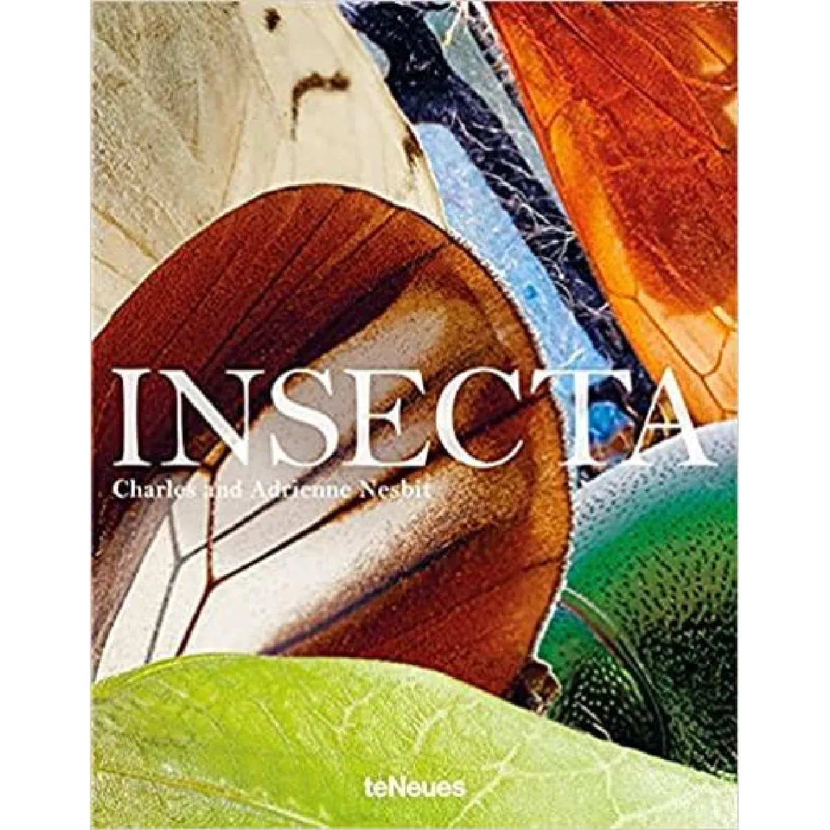 Insecta · Occasion