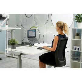 Support pour ordinateur portable Hylyft, argent