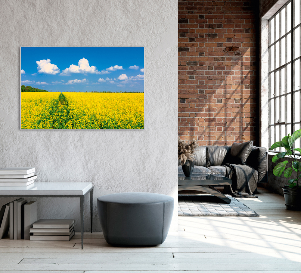 Akustikbild GELBES RAPSFELD 80x120cm, 7kg