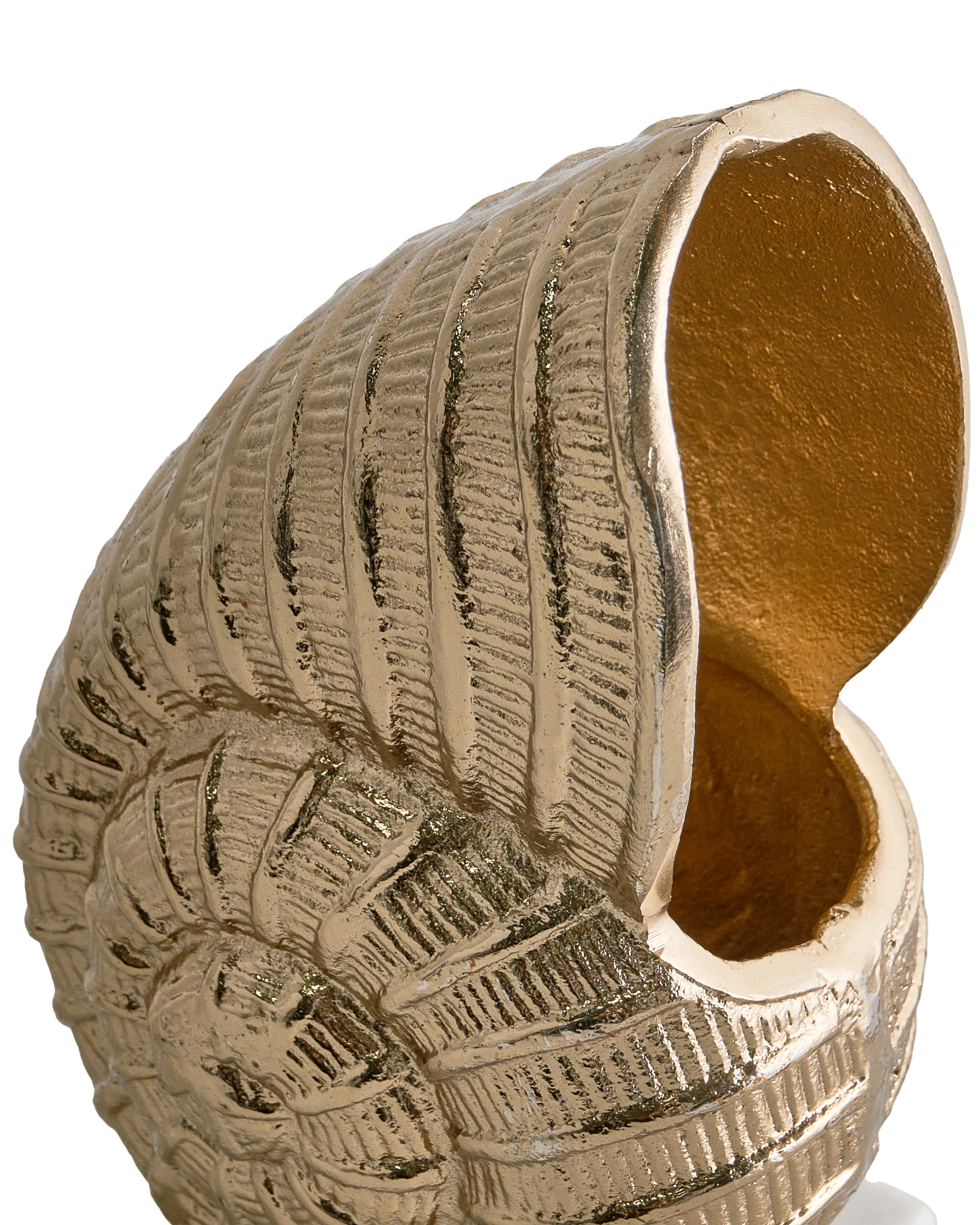 Figuur Zeeschelp TULJE Metaal Goud