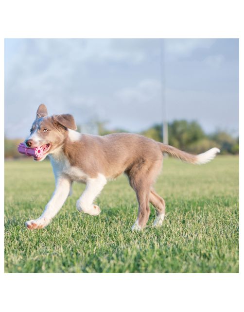 Kong Speeltje Teethingstick Puppy Assorti - Hondenspeelgoed