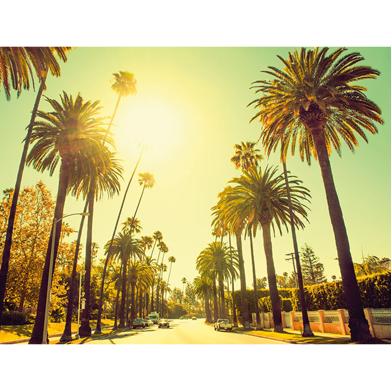 Wandbild PALM ALLEY - gelb-braun - 70x50 cm