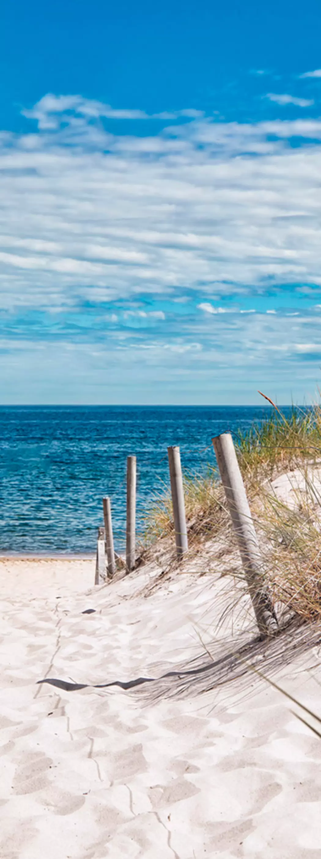 Wandbild 30 x 80 cm Beach VIII