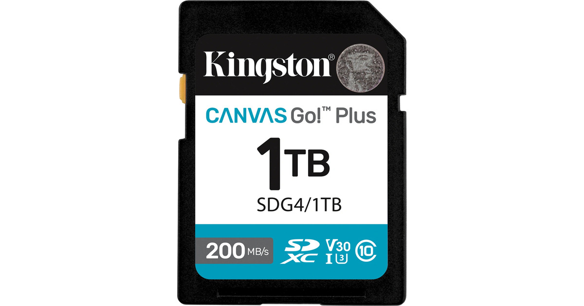 KingstonCanvas Go! Plus SDXC 1 TB geheugenkaart  (Zwart, Class 10, UHS-I U3, V30)