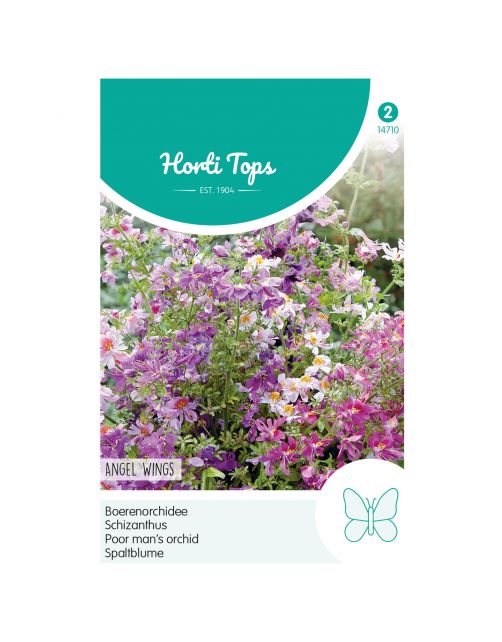 Hortitops Schizanthus - Boerenochidee Angel Wings - Bloemenzaden - 500 g
