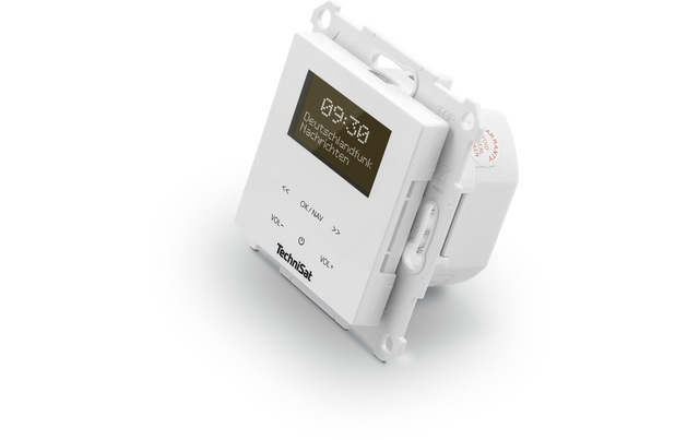 TechniSat Digitalradio (DAB+) »DigitRadio Up 55« (Bluetooth Digitalradio (DAB+) | FM-Tuner )