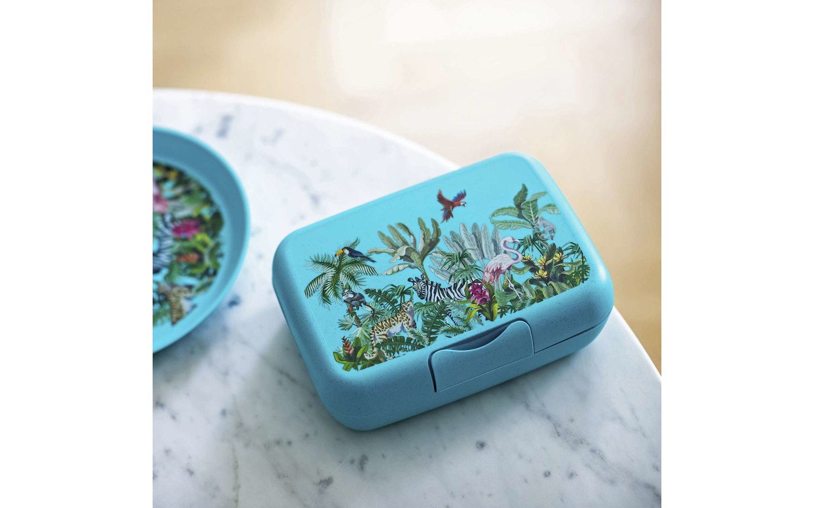 Koziol Candy L Box Lunchbox / Brotdose mit Trennschale organic moon paw patrol