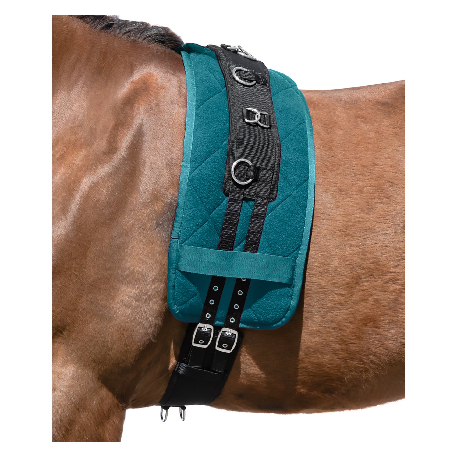 Horse-friends Longiergurt  - schwarz