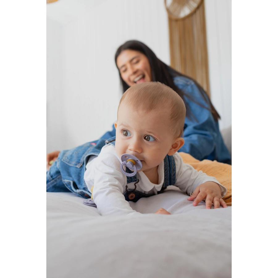 BIBS® Schnuller Colour Fossil Grey & Mauve 6-18 Monate, 2 Stk.