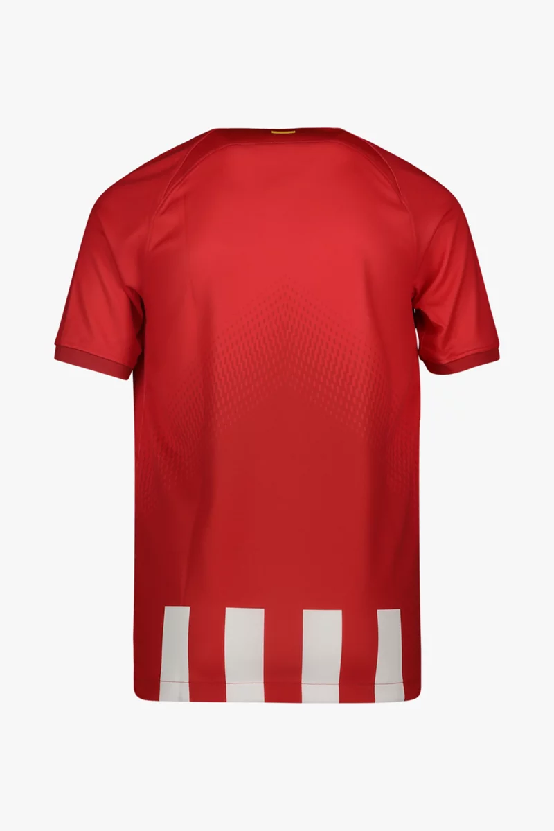Nike Atletico Madrid Stadium Home Replica Kinder Fussballtrikot 2324 ohne Sponsor