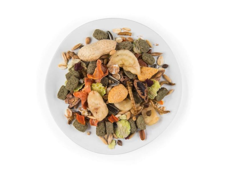 Witte Molen Hauptfutter Puur Gourmet-Müsli für Ratten, 800 Gourmet-Müesli für Ratten