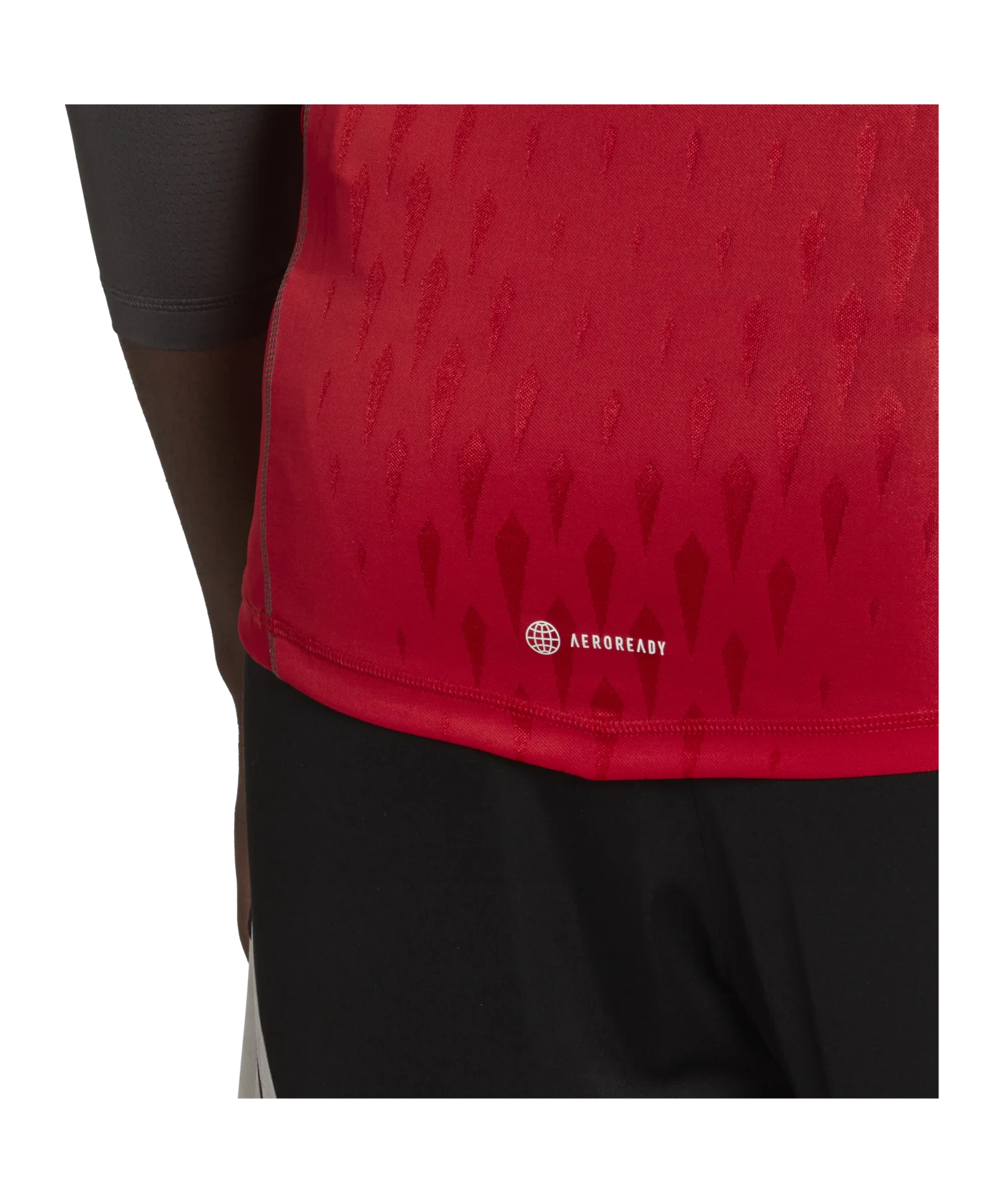 adidas Tiro 23 Pro Torwarttrikot langarm Rot