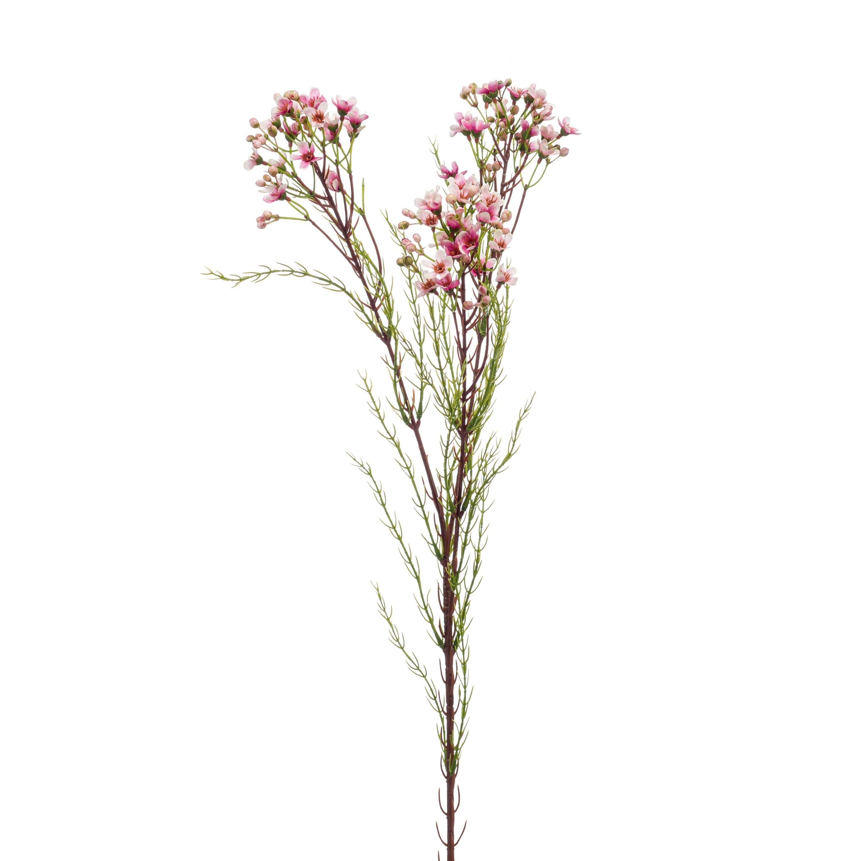 Fleurdirect Kunstbloem Wax - Roze - Polyester - 0x78x0cm (BxHxD)