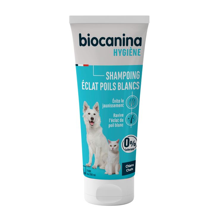 Shampoing éclat poils blancs