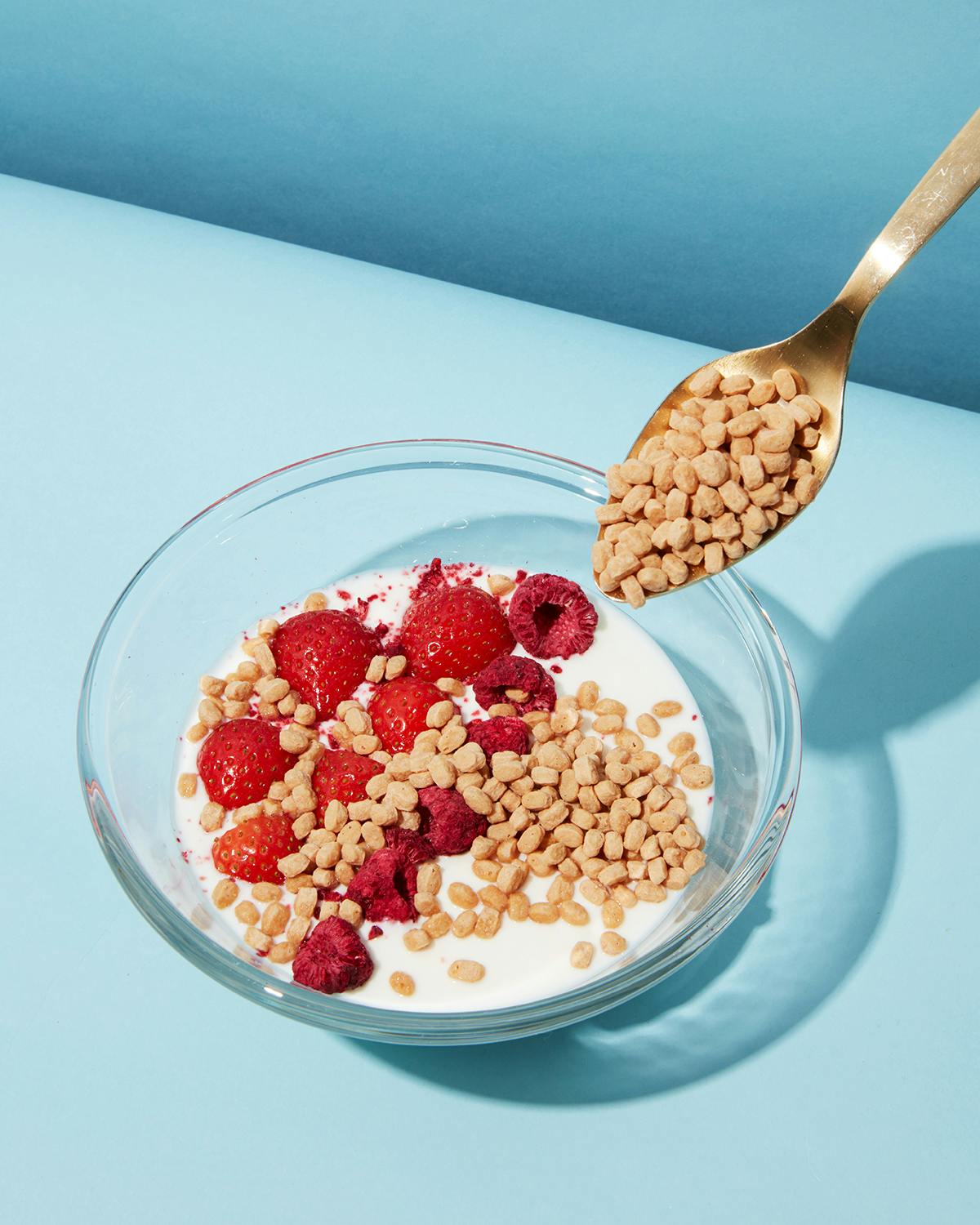 Erbsen Protein Crispies 71 % 1 kg