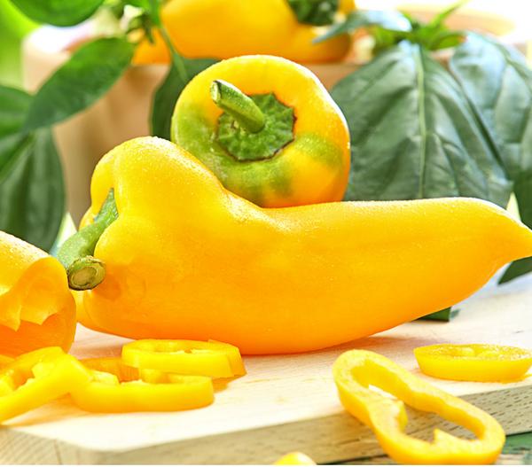 Spitzpaprika, gelb